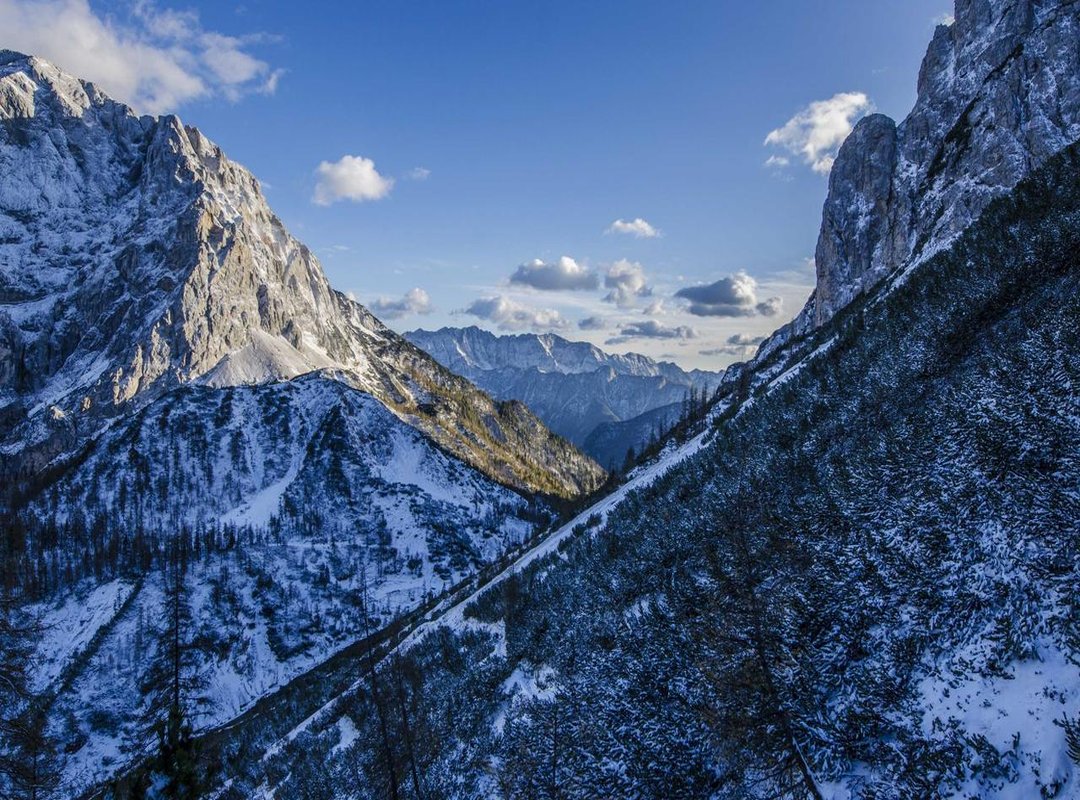 Daily Styling and Maintenance: Keeping Your Haircut Sharp