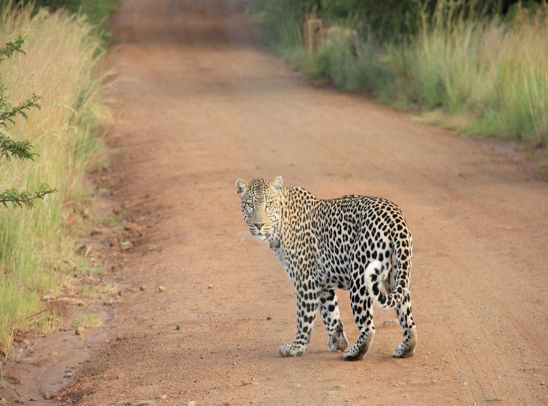 Breaking Down the Income Streams: Music and Media