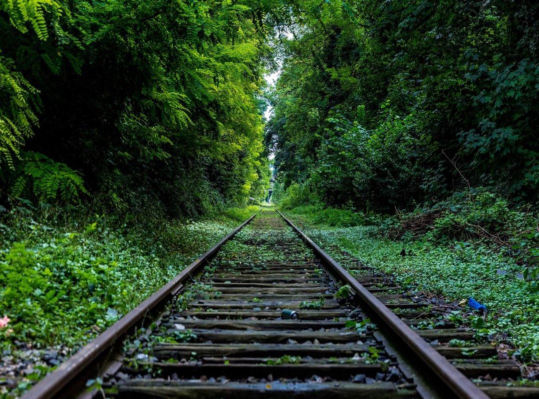 Vetted and Secure: Where to Actually Find Help and Resources