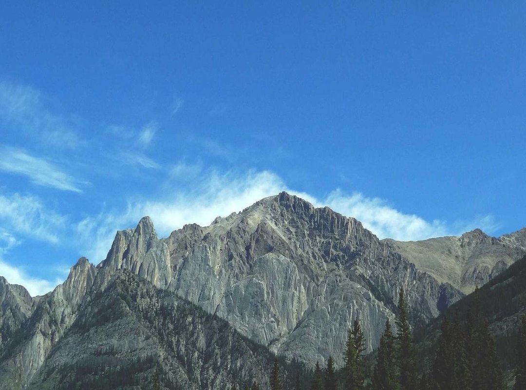 Where to Follow Noemiexlili: A Guide to Her Platforms