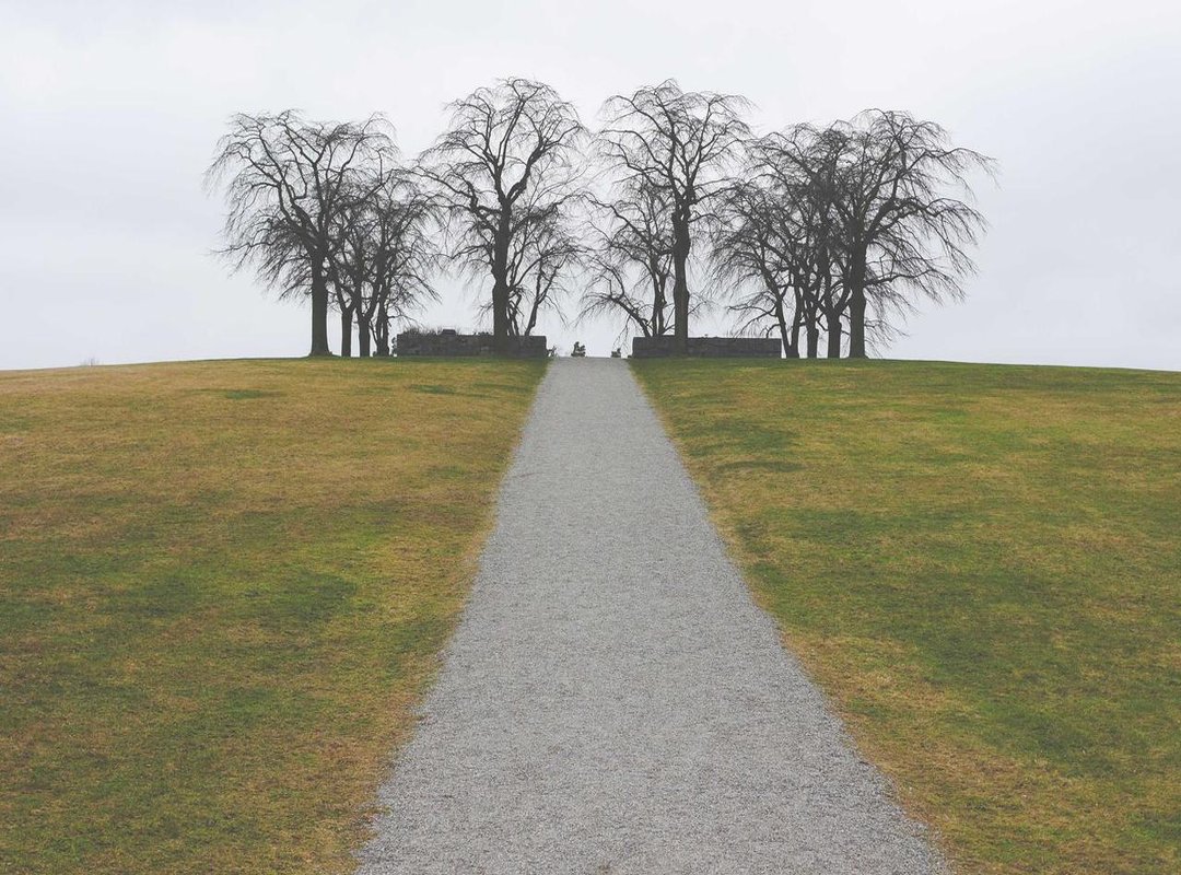 Beyond the Basics: 4 Creative Ideas to Make Your Photos Pop