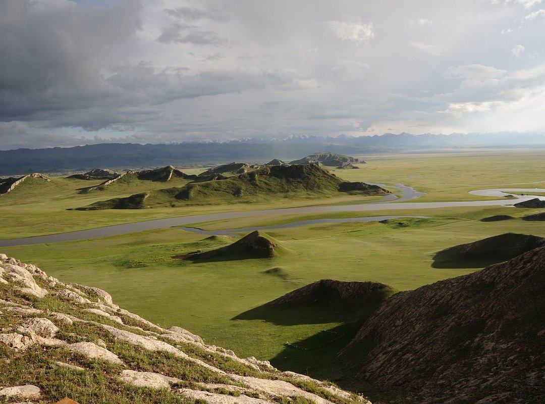 How to Choose and Use Palestinian Women's Wallpaper